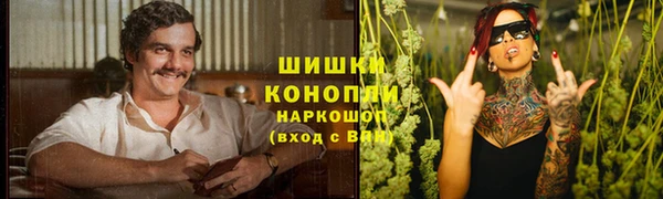 тгк Абаза