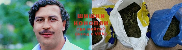 шишки Балабаново