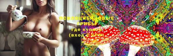 тгк Абаза