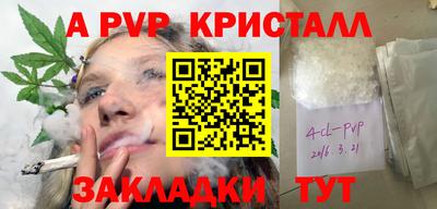 бошки Гагарин