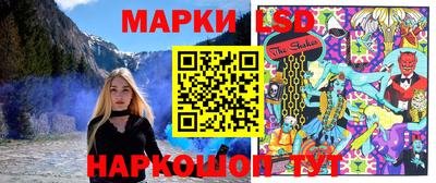Альфа ПВП Гатчина