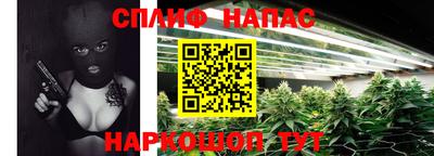 бошки Гагарин