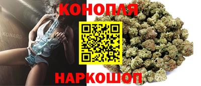 бошки Гагарин