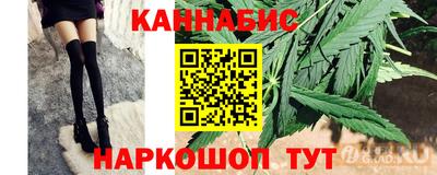 Альфа ПВП Гатчина