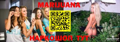 Альфа ПВП Гатчина