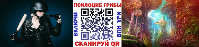 сколько стоит  Зеленогорск  Псилоцибиновые грибы Magic Shrooms 