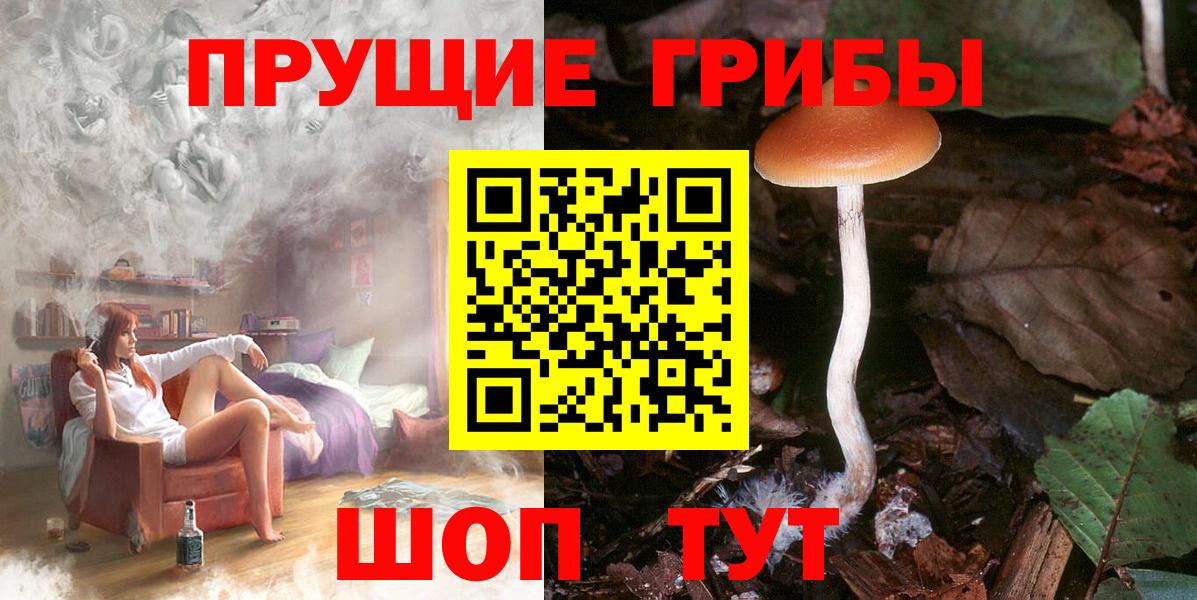 Зеленогорск  Псилоцибиновые грибы мухоморы  Вход с VPN 
